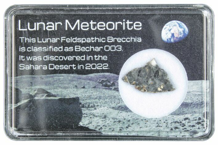 Polished Lunar Meteorite Slice ( g) - Bechar #288441